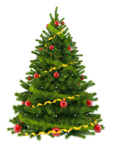 Greyfriars Ringwood Christmas tree